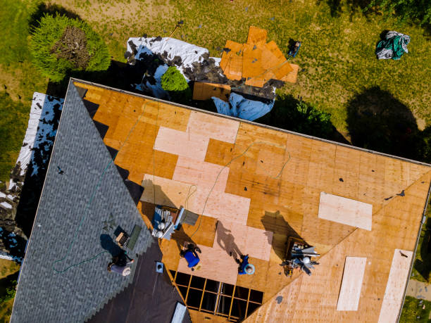 Best Roof Gutter Cleaning  in Melrose, MA